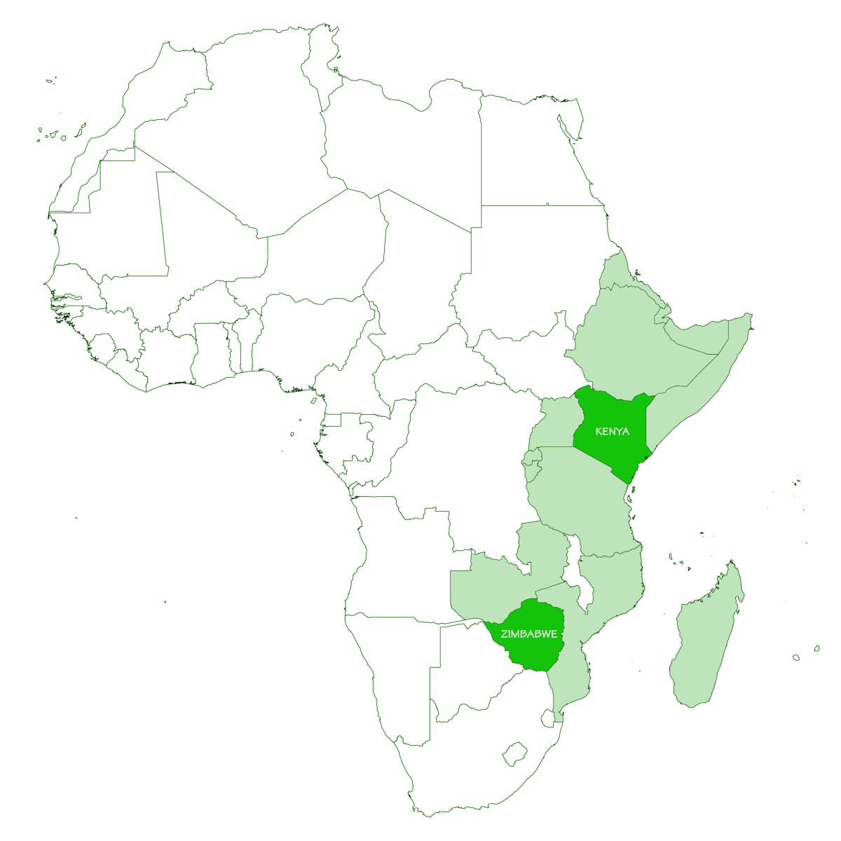 Community & Capacity Building | Kenya &&nbsp;Zimbabwe